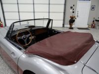 Austin Healey 3000 - <small></small> 58.000 € <small>TTC</small> - #14