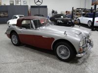 Austin Healey 3000 - <small></small> 58.000 € <small>TTC</small> - #16