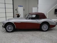 Austin Healey 3000 - <small></small> 58.000 € <small>TTC</small> - #17