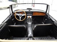 Austin Healey 3000 - <small></small> 58.000 € <small>TTC</small> - #20