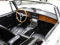 Austin Healey 3000 - <small></small> 58.000 € <small>TTC</small> - #21