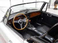 Austin Healey 3000 - <small></small> 58.000 € <small>TTC</small> - #22