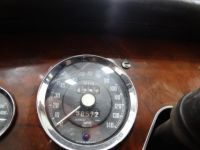 Austin Healey 3000 - <small></small> 58.000 € <small>TTC</small> - #25