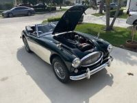 Austin Healey 3000 - <small></small> 63.000 € <small>TTC</small> - #11