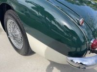 Austin Healey 3000 - <small></small> 63.000 € <small>TTC</small> - #19