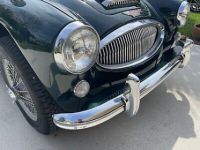 Austin Healey 3000 - <small></small> 63.000 € <small>TTC</small> - #28