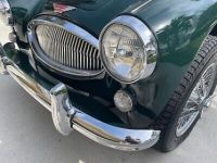 Austin Healey 3000 - <small></small> 63.000 € <small>TTC</small> - #29