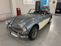 Austin Healey 3000  - <small></small> 64.750 € <small>TTC</small> - #1