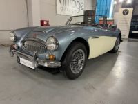 Austin Healey 3000  - <small></small> 64.750 € <small>TTC</small> - #2