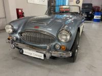 Austin Healey 3000  - <small></small> 64.750 € <small>TTC</small> - #3