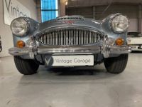 Austin Healey 3000  - <small></small> 64.750 € <small>TTC</small> - #6