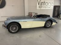 Austin Healey 3000  - <small></small> 64.750 € <small>TTC</small> - #9