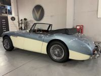 Austin Healey 3000  - <small></small> 64.750 € <small>TTC</small> - #10