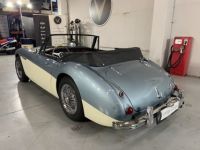 Austin Healey 3000  - <small></small> 64.750 € <small>TTC</small> - #11