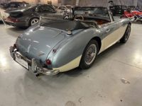 Austin Healey 3000  - <small></small> 64.750 € <small>TTC</small> - #14