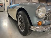 Austin Healey 3000  - <small></small> 64.750 € <small>TTC</small> - #19