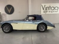 Austin Healey 3000  - <small></small> 64.750 € <small>TTC</small> - #45