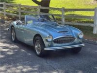 Austin Healey 3000 - <small></small> 65.400 € <small>TTC</small> - #2