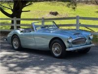 Austin Healey 3000 - <small></small> 65.400 € <small>TTC</small> - #3