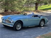 Austin Healey 3000 - <small></small> 65.400 € <small>TTC</small> - #4