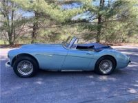 Austin Healey 3000 - <small></small> 65.400 € <small>TTC</small> - #5