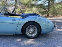 Austin Healey 3000 - <small></small> 65.400 € <small>TTC</small> - #7