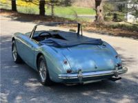 Austin Healey 3000 - <small></small> 65.400 € <small>TTC</small> - #8