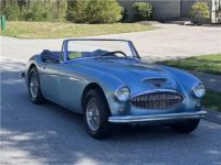 Austin Healey 3000 - <small></small> 65.400 € <small>TTC</small> - #10