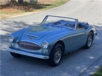 Austin Healey 3000 - <small></small> 65.400 € <small>TTC</small> - #11