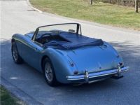 Austin Healey 3000 - <small></small> 65.400 € <small>TTC</small> - #12