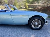 Austin Healey 3000 - <small></small> 65.400 € <small>TTC</small> - #16