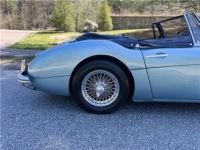 Austin Healey 3000 - <small></small> 65.400 € <small>TTC</small> - #17