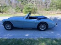 Austin Healey 3000 - <small></small> 65.400 € <small>TTC</small> - #18