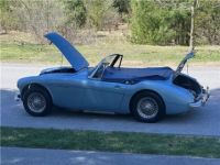 Austin Healey 3000 - <small></small> 65.400 € <small>TTC</small> - #37