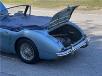 Austin Healey 3000 - <small></small> 65.400 € <small>TTC</small> - #38