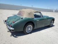 Austin Healey 3000 - <small></small> 37.500 € <small>TTC</small> - #3