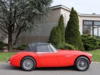 Austin Healey 3000 - <small></small> 55.500 € <small>TTC</small> - #3