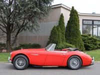 Austin Healey 3000 - <small></small> 55.500 € <small>TTC</small> - #4