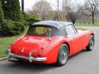 Austin Healey 3000 - <small></small> 55.500 € <small>TTC</small> - #5