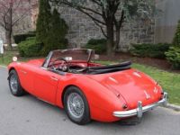 Austin Healey 3000 - <small></small> 55.500 € <small>TTC</small> - #6