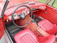 Austin Healey 3000 - <small></small> 55.500 € <small>TTC</small> - #7