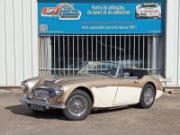 Austin Healey 3000 MK2 BJ7 - <small></small> 64.900 € <small>TTC</small> - #1