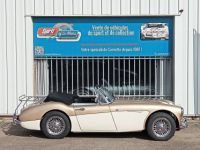 Austin Healey 3000 MK2 BJ7 - <small></small> 64.900 € <small>TTC</small> - #2