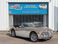 Austin Healey 3000 MK2 BJ7 - <small></small> 64.900 € <small>TTC</small> - #3