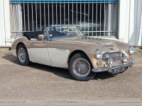 Austin Healey 3000 MK2 BJ7 - <small></small> 64.900 € <small>TTC</small> - #4