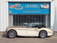 Austin Healey 3000 MK2 BJ7 - <small></small> 64.900 € <small>TTC</small> - #7