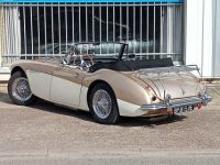 Austin Healey 3000 MK2 BJ7 - <small></small> 64.900 € <small>TTC</small> - #9