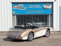 Austin Healey 3000 MK2 BJ7 - <small></small> 64.900 € <small>TTC</small> - #10