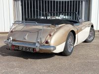 Austin Healey 3000 MK2 BJ7 - <small></small> 64.900 € <small>TTC</small> - #11