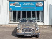 Austin Healey 3000 MK2 BJ7 - <small></small> 64.900 € <small>TTC</small> - #12